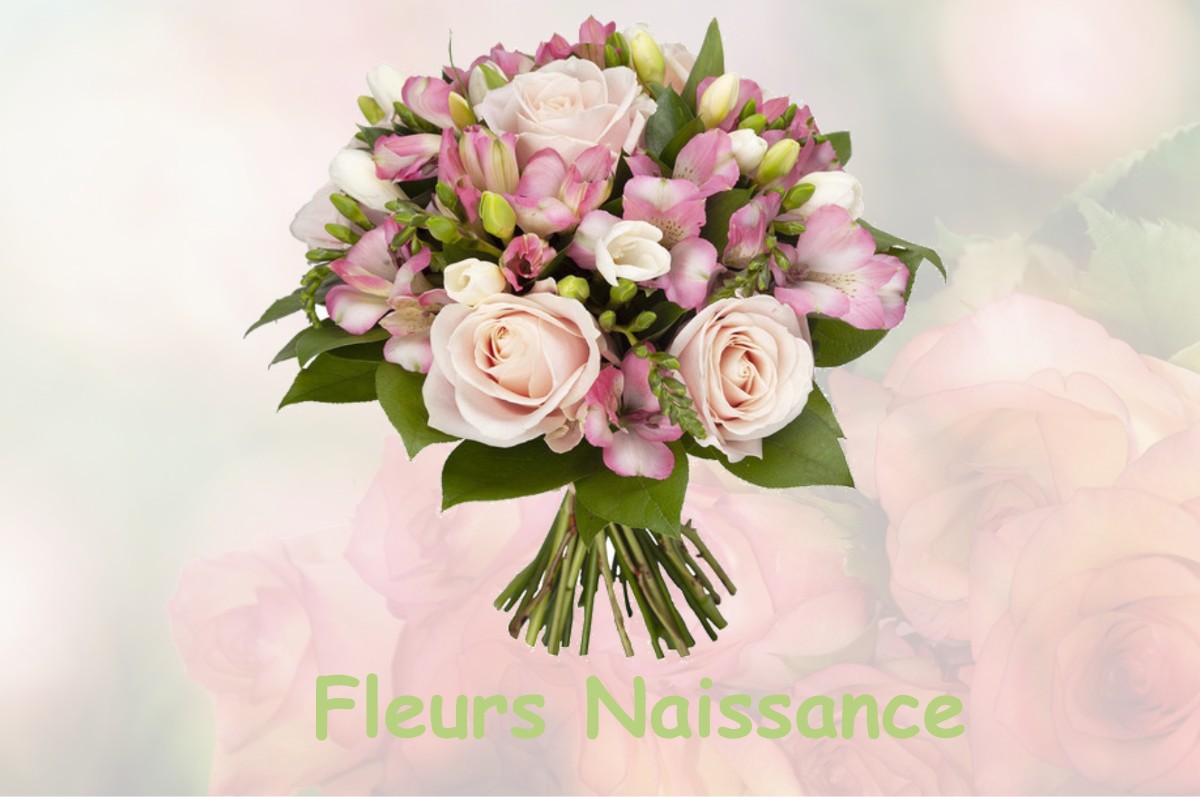 fleurs naissance NEUILLY-SOUS-CLERMONT